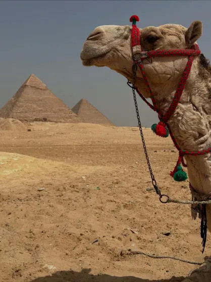 Дмитрий Шепелев отдыхает с женой в Египте Шепелев, Дмитрия, Дмитрий, также, певицы, Платон, Тулупова, Тулуповой, ШепелеваФото, котором, ШепелевДмитрий, ровно, Екатерины, рождения, подарок, отношения, неизвестно, через, когда, аптек