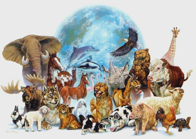 https://1.bp.blogspot.com/-pmHLWlN4C14/UWGNQXYnKXI/AAAAAAABS6Y/zvEAgYDJxbw/s640/animals-planet.jpg