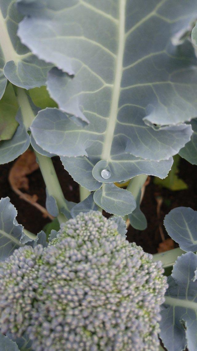 30 снимков, которые которые порадуют вашего внутреннего перфекциониста 