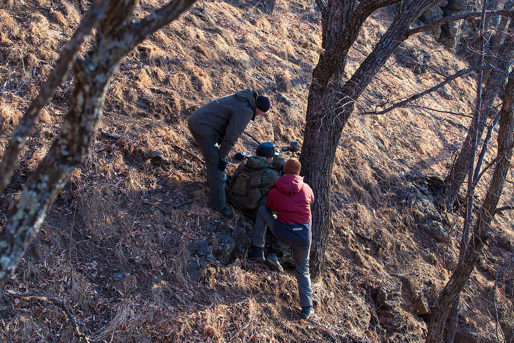 Discovery по-приморски: экстремальные съемки леопардов Discovery по-приморски: экстремальные съемки леопардов