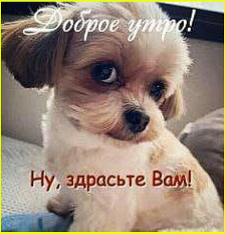 9 марта, веселые картинки. Всем, кто пережил 8-е, посвящается 