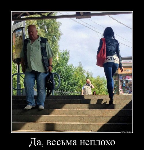 Новая порция демотиваторов (12 фото)