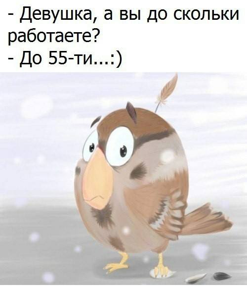 Порция анекдотов в картинках Порция анекдотов в картинках