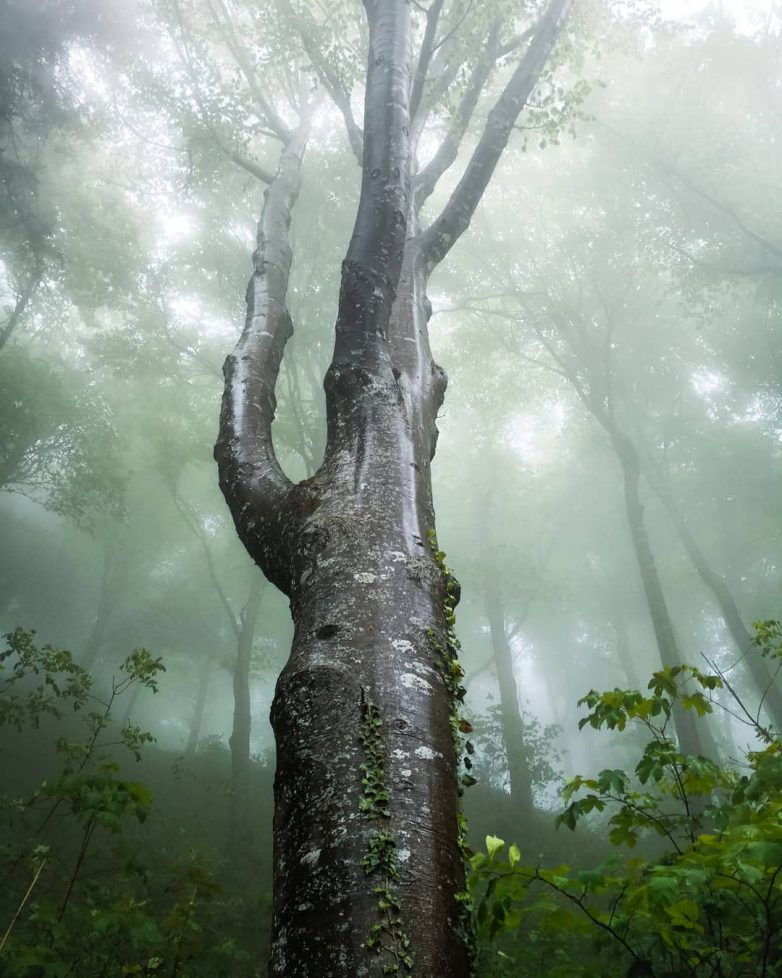 Швейцария, которая поражает с первого взгляда Швейцария, которая поражает с первого взгляда путешествие,Фотография,Швейцария