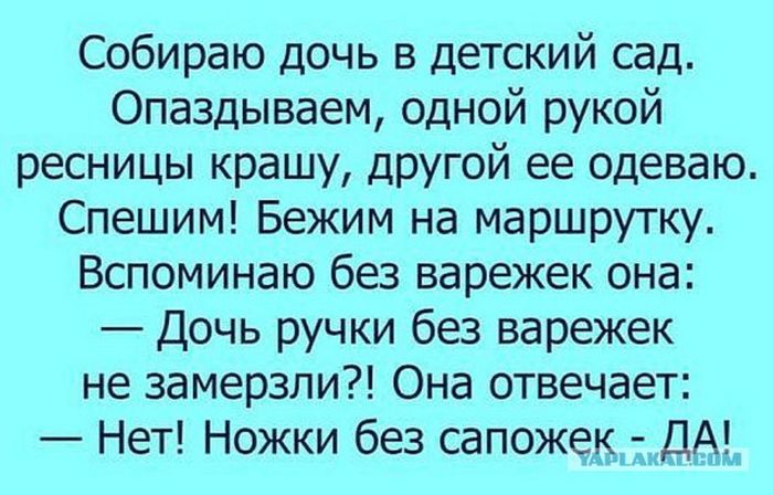 15+ смешных и добрых историй для хорошего настроения 