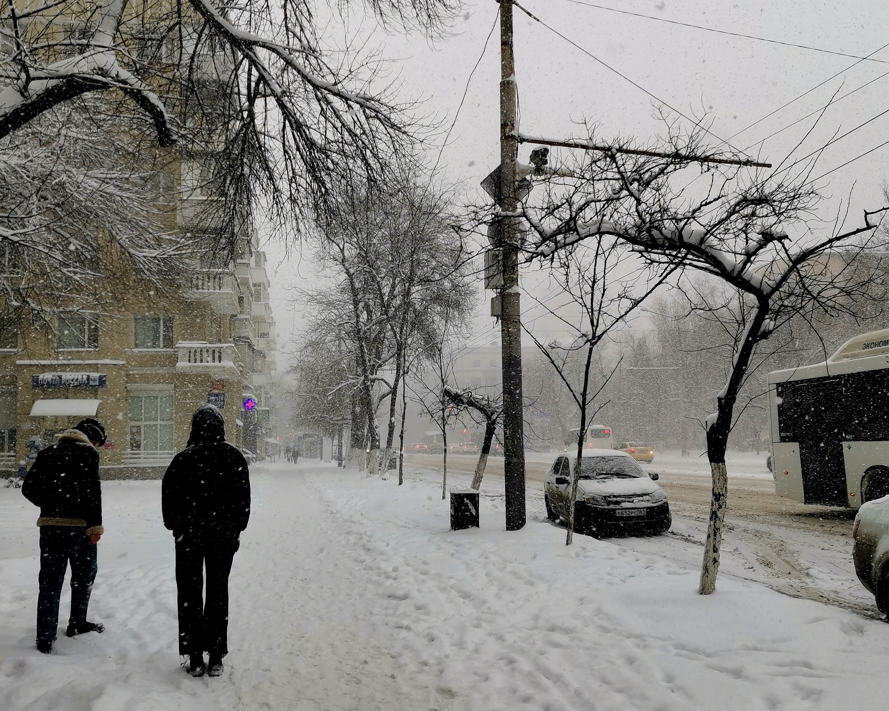 Каким будет февраль в Ростовской области: Прогноз синоптиков