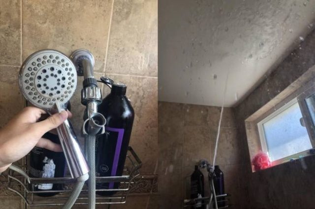 Забавные картинки в ассортименте Забавные картинки в ассортименте