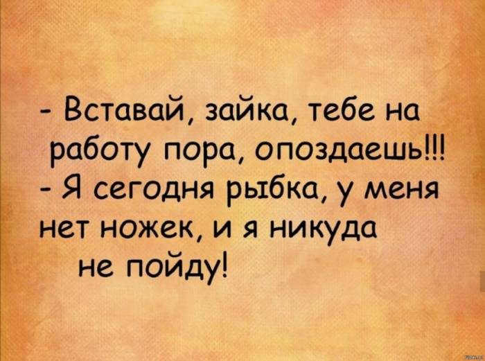 Смешные картинки и анекдоты для отличного настроения!