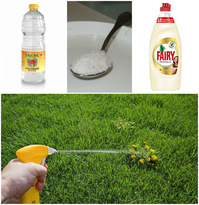 13 практичных советов, которые стоит взять на заметку всем дачникам в начале сезона 225,273,7871,7891,7897