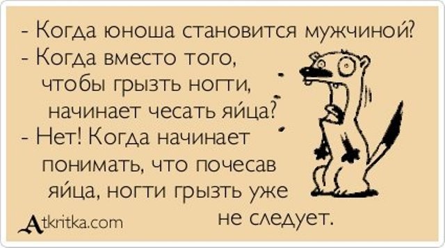Картинки про анатолия приколы, цветами надписью доброе