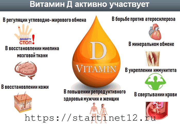 На что влияет д3. Функции витамина д3 в организме человека. Витамин д на что влияет в организме. Роль витамина д в организме человека. Как витамин д влияет на организм.