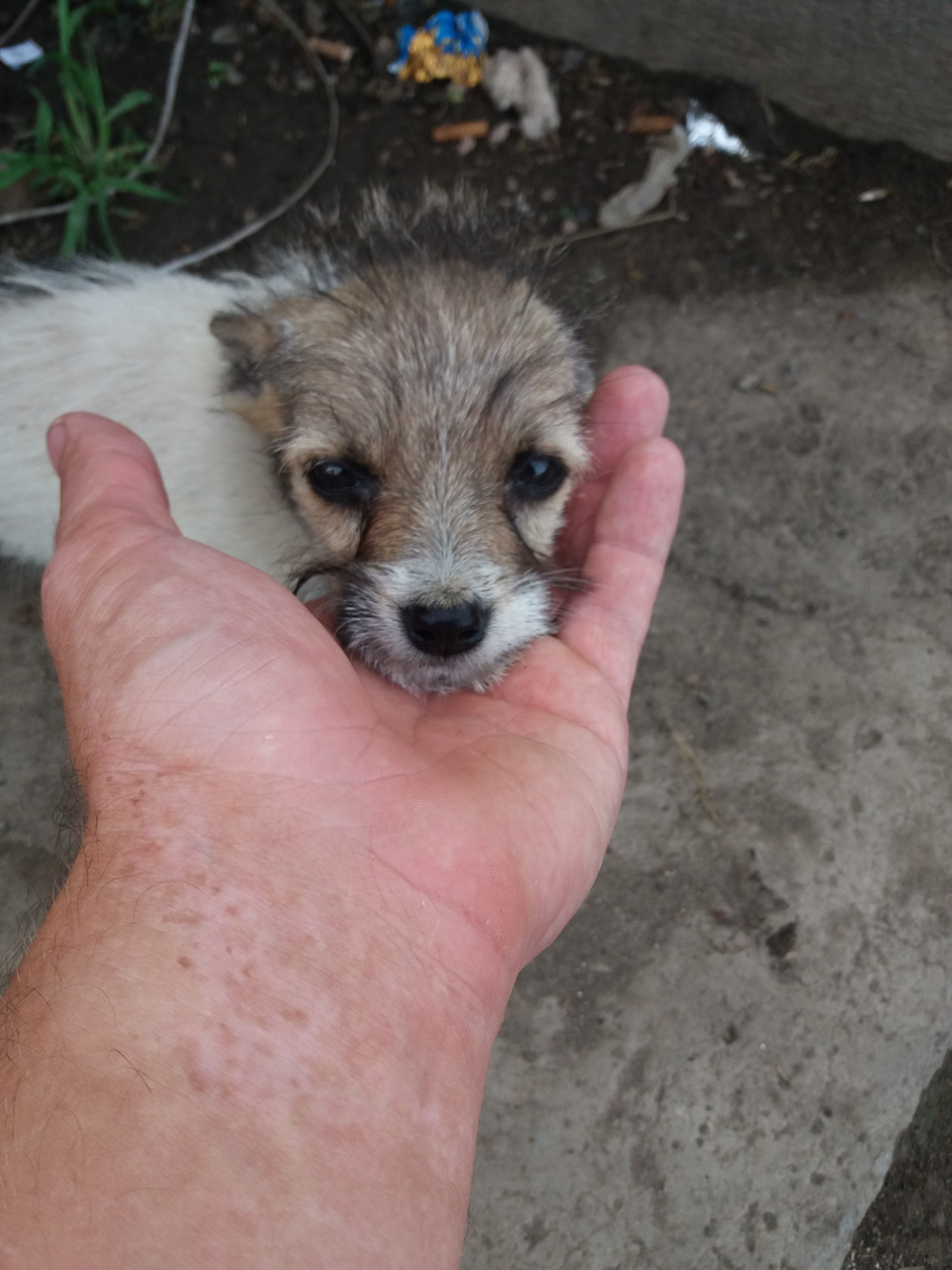 Подкидыш Подкидыш не всё так грустно