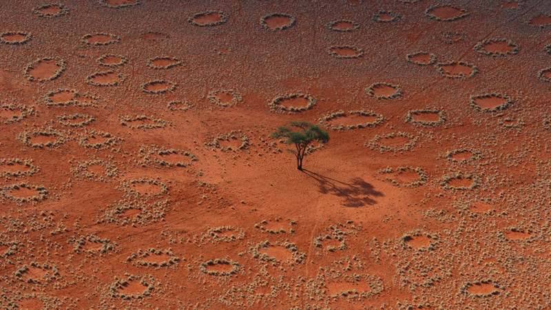10. "Волшебные круги" в Намибии. Некоторые исследователи считают, что эти круги появляются в результате жизнедеятельности песчаных термитов природные феномены, природные явления