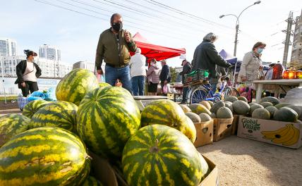 На фото: продажа арбзуов и дынь на ярмарке крымских сельхозпроизводителей.