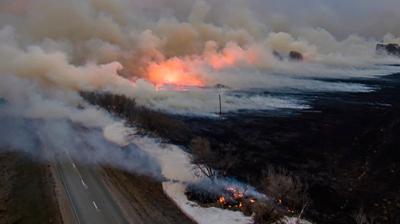 Пожары в Сибири тушат 26 тысяч военнослужащих — Минобороны РФ