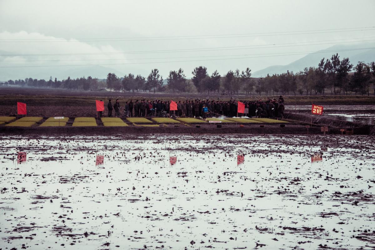 «Чосон» Дениса Давыденко: объективная нереальность из Северной Кореи «Чосон» Дениса Давыденко: объективная нереальность из Северной Кореи