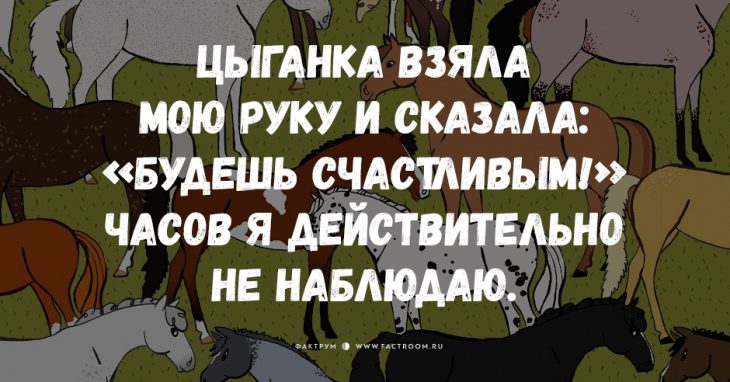 15 отличных анекдотов ждут вашего внимания!