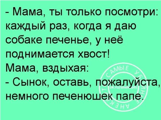 Шейх заходит в свой гарем и шепчет на ушко одной из жен... весёлые