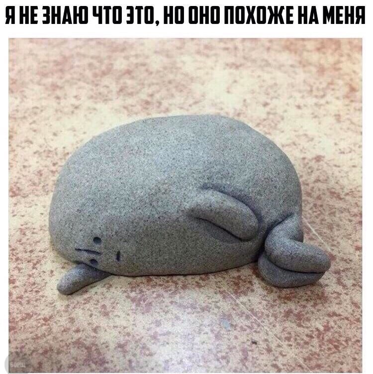 Смешные комментарии и высказывания из социальных сетей высказывания, комментарии, прикол