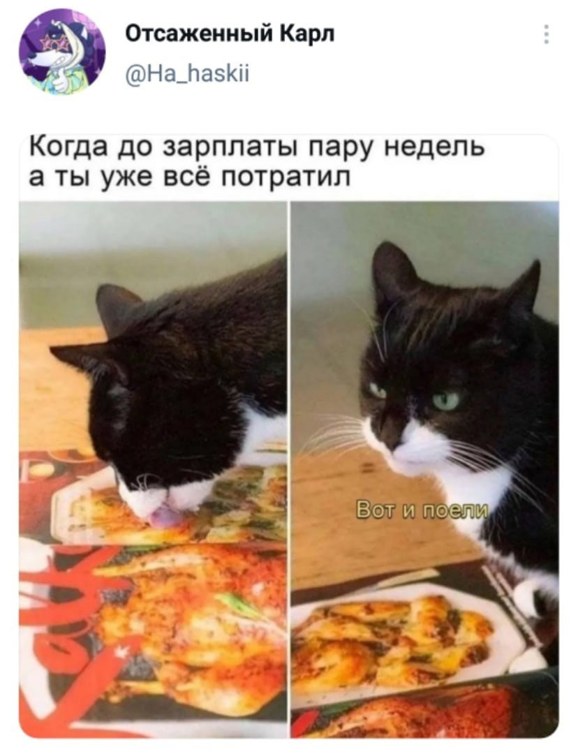 Юмор из интернета 643 Юмор из интернета 643 позитив,смех,юмор