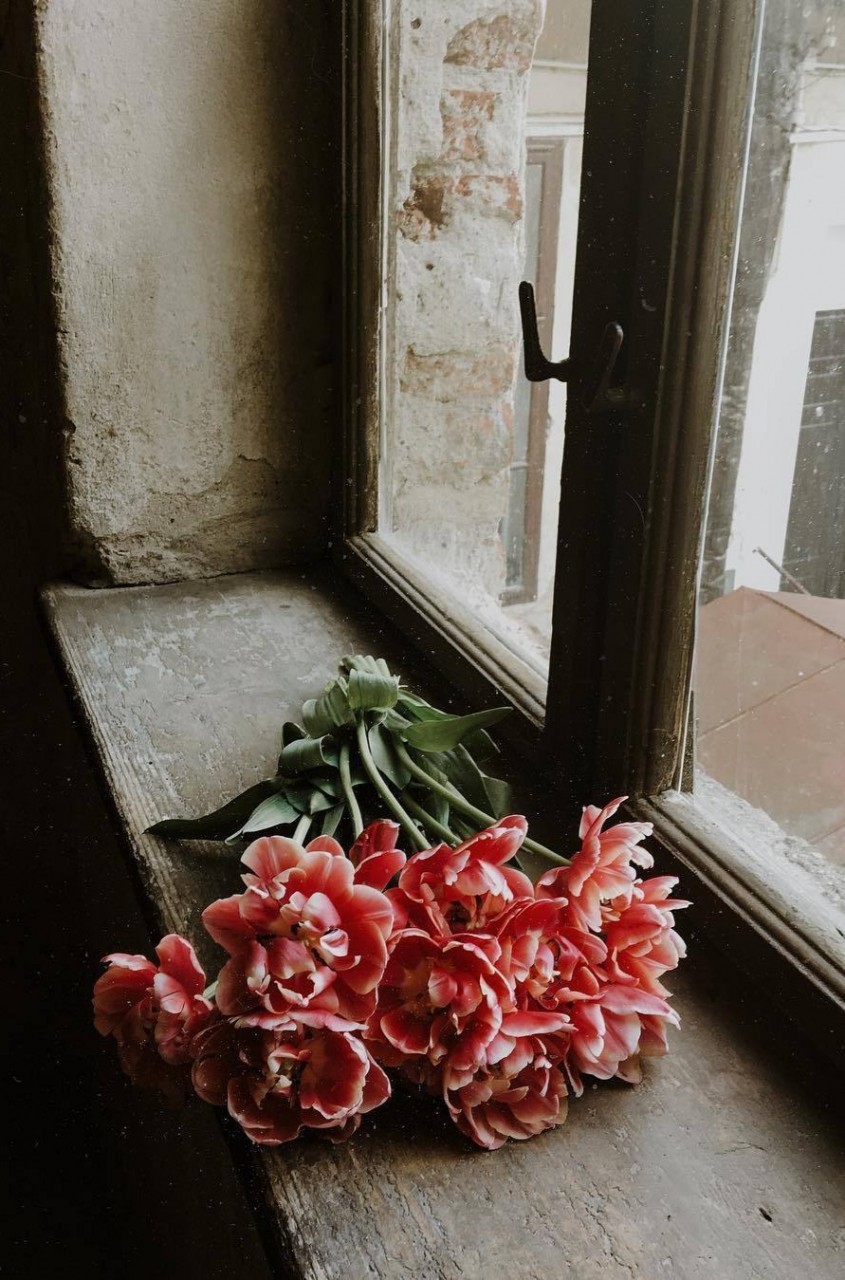 Джина Лоллобриджида в Акапулько. Джина Лоллобриджида в Акапулько.