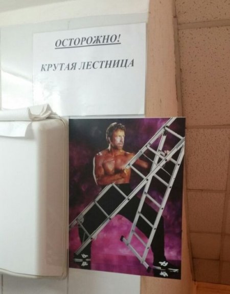 Прикольная фотоподборка (55 фото)