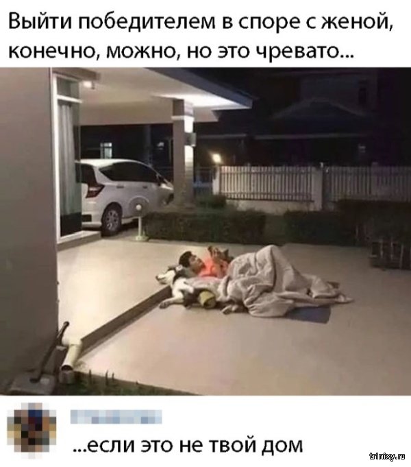 Картинки и комментарии из социальных сетей 