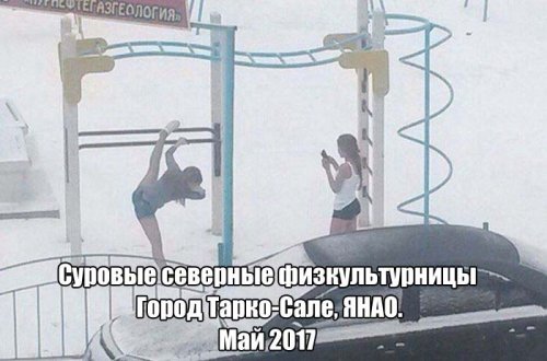 Прикольные картинки дня (50 шт)