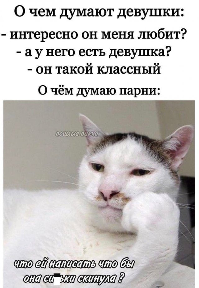 Мемы и приколы про отношения и "это" Мемы и приколы про отношения и "это" позитив,смешные картинки,юмор