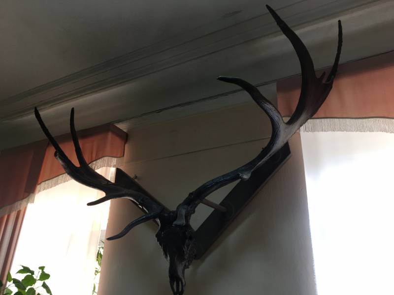 Древние культуры нашей страны: Куйбышевская экспедиция против буржуазных фальсификаторов Древние культуры нашей страны: Куйбышевская экспедиция против буржуазных фальсификаторов история