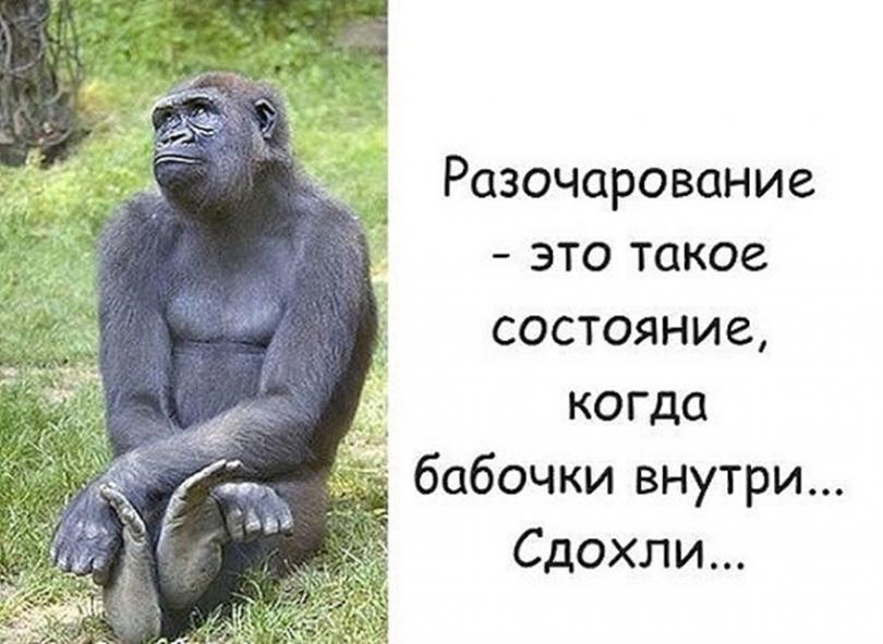 Прикольные картинки с 8 марта с надписями ржачные для поднятия настроения, картинки
