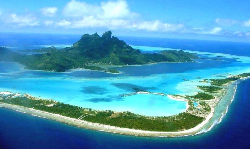 Coral Reef, Torres Strait Islands, Australia скачать