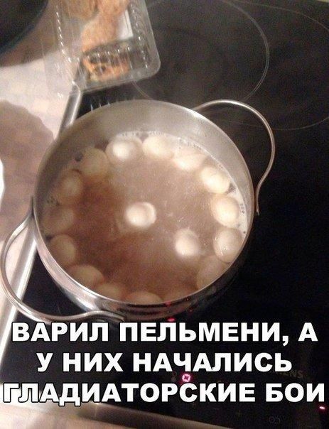Смешные и веселые картинки с надписями со смыслом (11 фото)