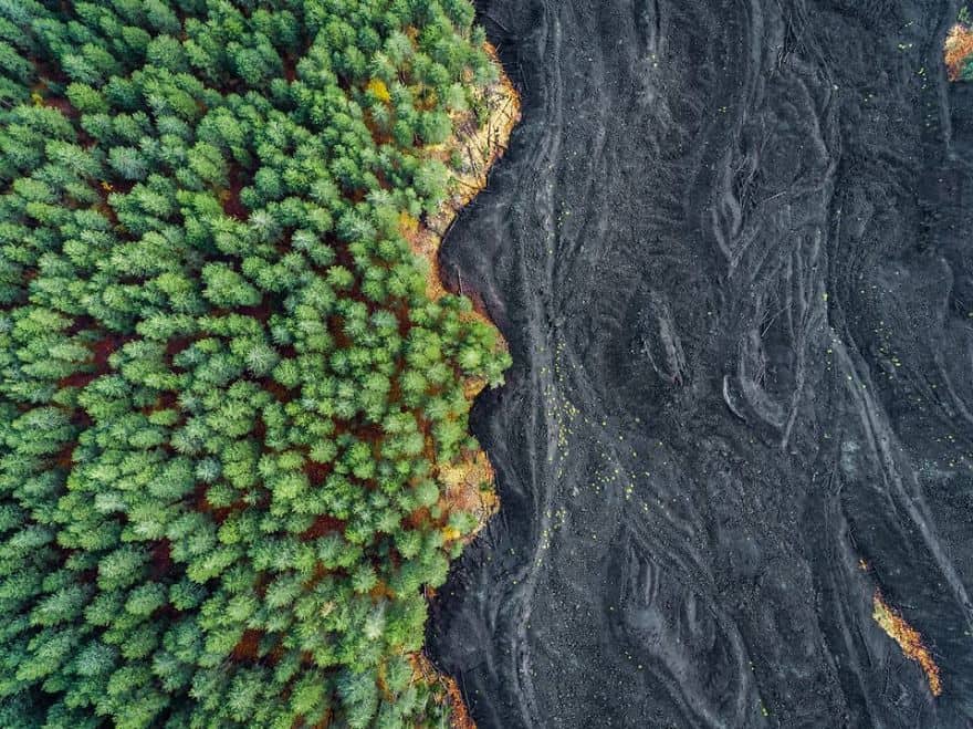 Лучшие фотографии природы National Geographic 2017