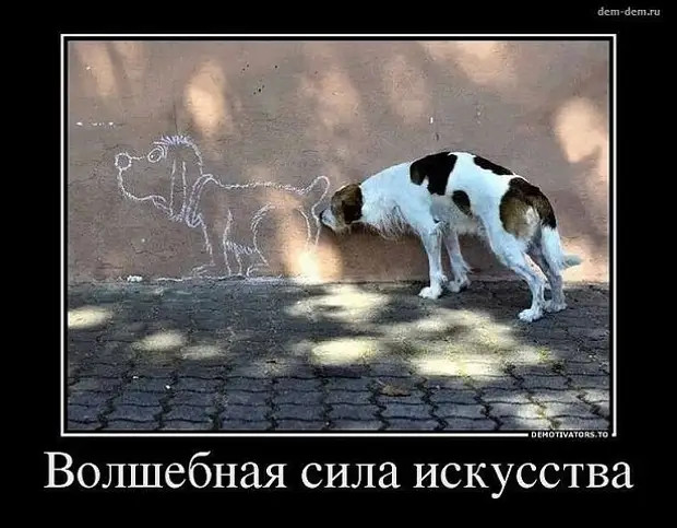 В диете главное – сон! Не уснула вовремя, все – нажралась… 