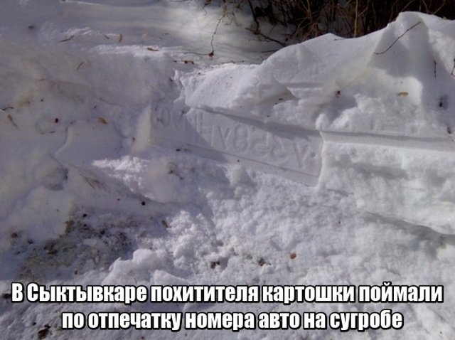 Фотоподборка субботы - 23 Февраля 2019 Фотоподборка субботы - 23 Февраля 2019