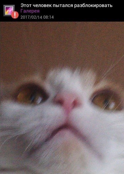 Прикольные фотомемы (23 шт)