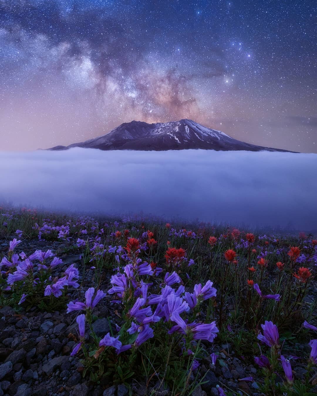 Соединённые Штаты Америки на снимках Джона Бирна Соединённые Штаты Америки на снимках Джона Бирна