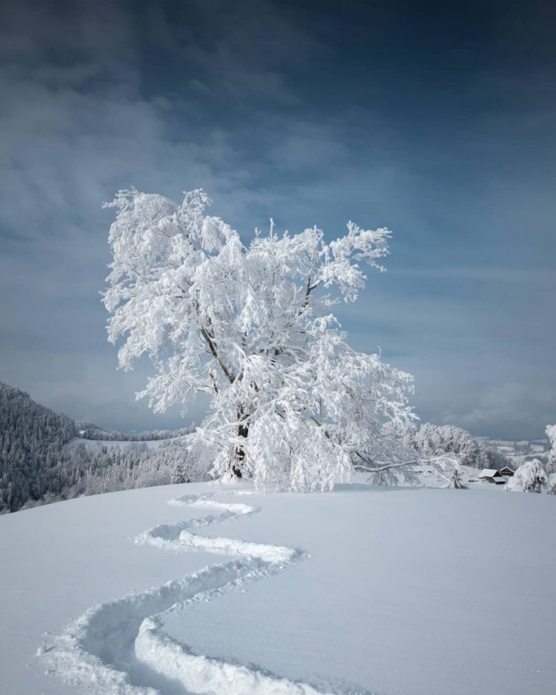 Швейцария, которая поражает с первого взгляда Швейцария, которая поражает с первого взгляда путешествие,Фотография,Швейцария