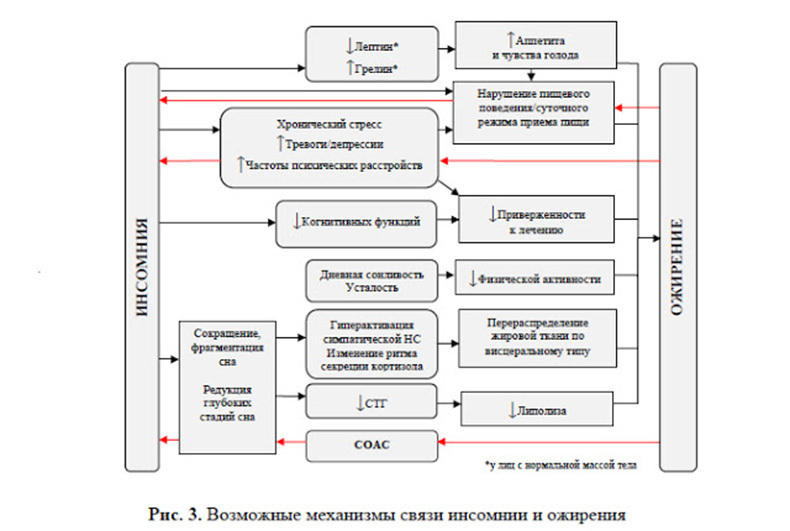 Синдром ночного аппетита: волшебство заканчивается в полночь диета и фитнес