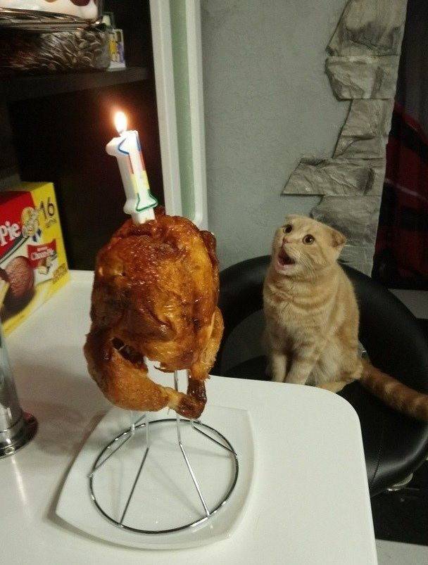 Подборка картинок. Вечерний выпуск Подборка картинок. Вечерний выпуск приколы,смешные картинки,юмор