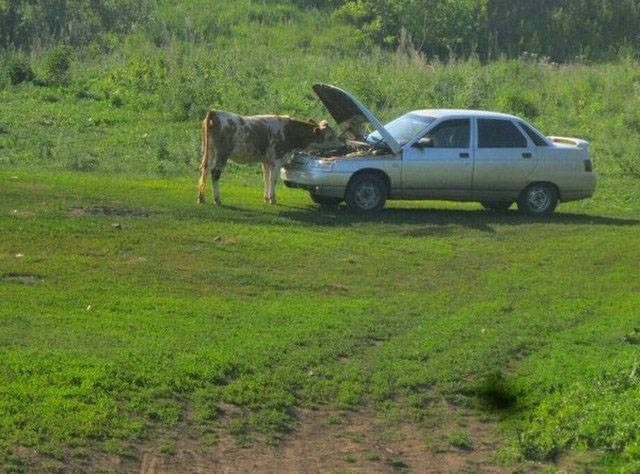 Приколы с просторов нашей бескрайней 