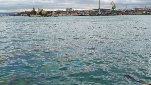 Виновные в загрязнении Севастопольской бухты понесут наказание 