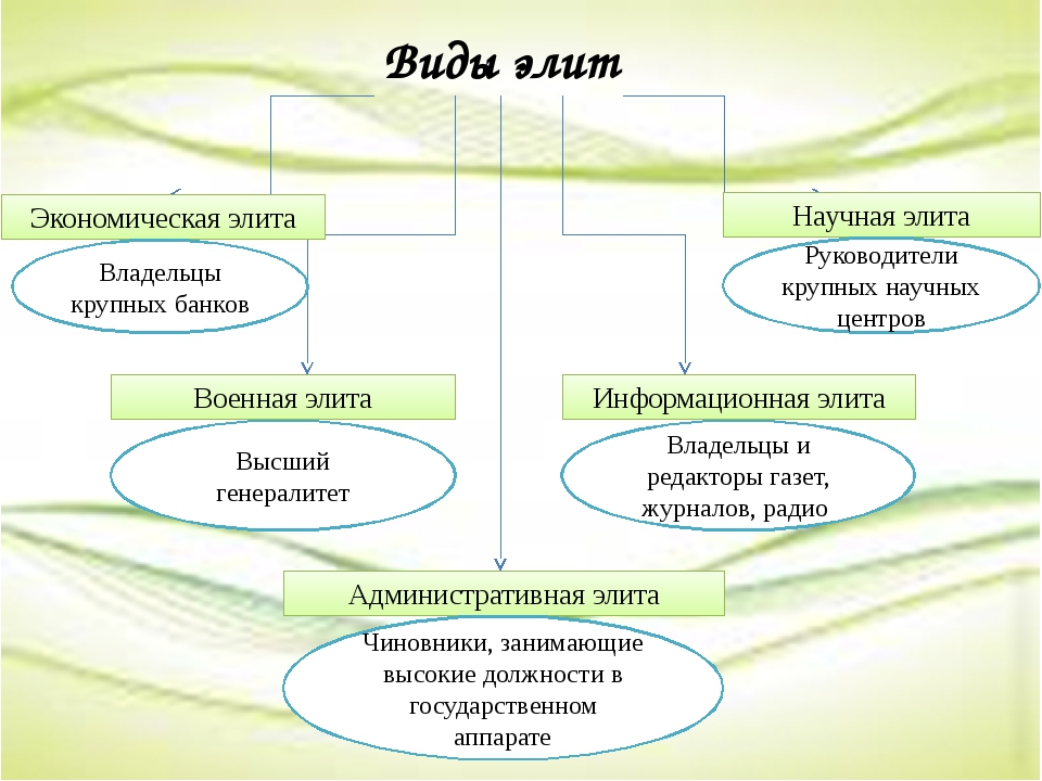 Элита способность. Виды Элит. Основные типы Элит. Виды Элит Обществознание. Виды Элит в обществе.