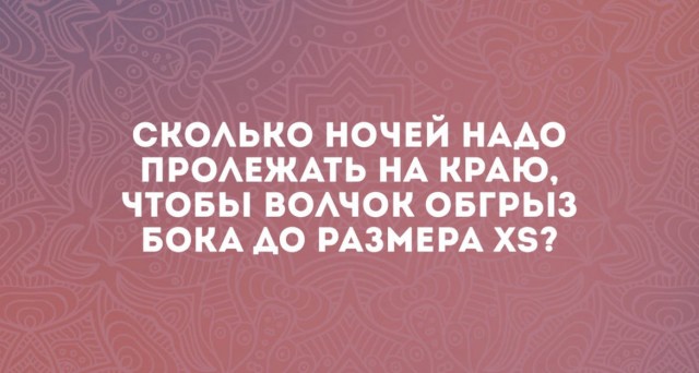 Женская философия в прикольных картинках 