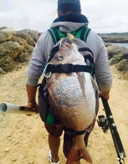 Странности в фотографиях (26 фото)