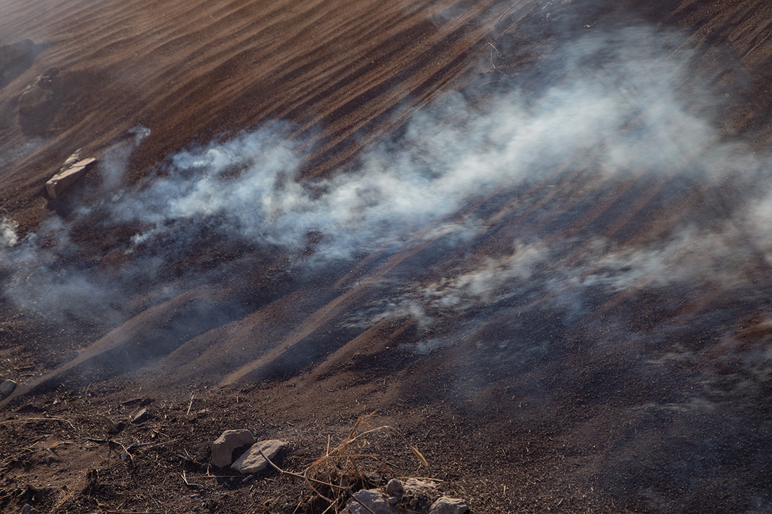 Лесные пожары в Забайкалье общество,россияне