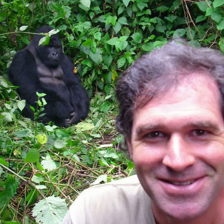 путешествие, дом, туризм