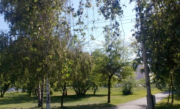 Лето жжёт