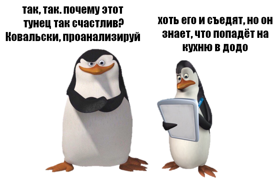 Какой овощ не любил ковальский из мадагаскара. Ковальски проанализируй. Ковальский Пингвин. Ковальски Мем. Ковальский мемы.